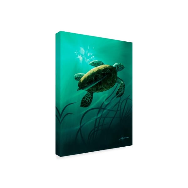 D. Rusty Rust 'Green Sea Turtle ' Canvas Art,35x47